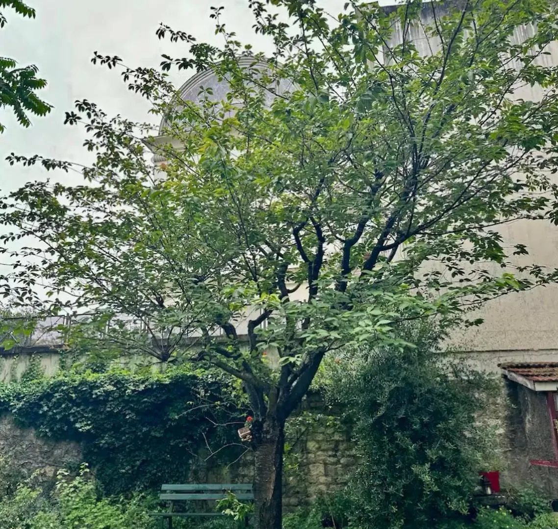 Montmartre Hidden Artist Loft Apartment Paris 0*,